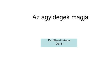 Az agyidegek magjai Dr. Németh Anna 2013