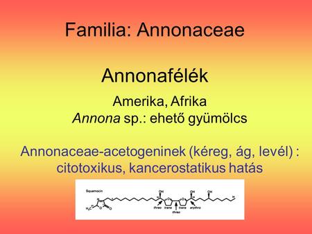 Familia: Annonaceae Annonafélék Amerika, Afrika Annona sp.: ehető gyümölcs Annonaceae-acetogeninek (kéreg, ág, levél) : citotoxikus, kancerostatikus hatás.