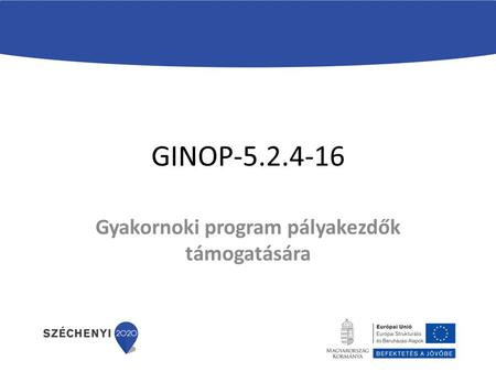 GINOP-5.2.4-16 Gyakornoki program pályakezdők támogatására.