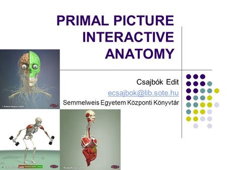 PRIMAL PICTURE INTERACTIVE ANATOMY Csajbók Edit Semmelweis Egyetem Központi Könyvtár.