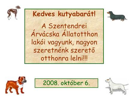 Kedves kutyabarát! A Szentendrei Árvácska Állatotthon lakói vagyunk, nagyon szeretnénk szerető otthonra lelni!!! 2008. október 6.