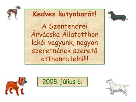 Kedves kutyabarát! A Szentendrei Árvácska Állatotthon lakói vagyunk, nagyon szeretnének szerető otthonra lelni!!! 2008. július 6.