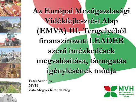 Az Európai Mezőgazdasági Vidékfejlesztési Alap (EMVA) III. Tengelyéből finanszírozott LEADER szerű intézkedések megvalósítása, támogatás igénylésének módja.