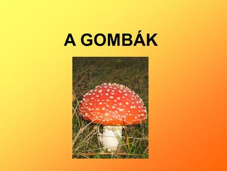 A GOMBÁK. A gombák A gombák eukarióta sejtekből álló, egy- vagy többsejtű, általában telepes felépítésű, színanyagot nem tartalmazó, kitintartalmú sejtfallal.