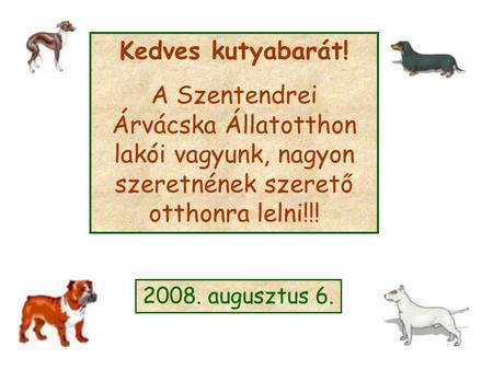 Kedves kutyabarát! A Szentendrei Árvácska Állatotthon lakói vagyunk, nagyon szeretnének szerető otthonra lelni!!! 2008. augusztus 6.