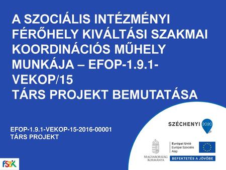 A Szociális intézményi férőhely kiváltási szakmai koordinációs műhely munkája – EFOP-1.9.1-VEKOP/15 TÁRS PROJEKT bemutatása EFOP-1.9.1-VEKOP-15-2016-00001.