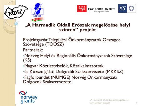 „ A Harmadik Oldali Erőszak megelőzése helyi szinten” projekt Projektgazda: Települési Önkormányzatok Országos Szövetsége (TÖOSZ) Partnerek: • Norvég Helyi.