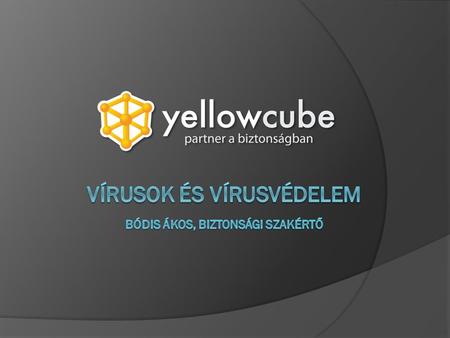  Sunbelt VIPRE termékcsalád képviselet Magyarország + Románia és a környező országokban  12 éve dolgozom a szakmában:  VirusBusterweb/marketing3 év.