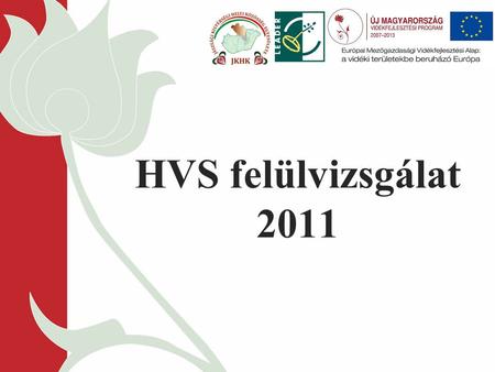 HVS felülvizsgálat 2011. Helyi Vidékfejlesztési Stratégia (HVS) általános felülvizsgálata Alapja: az Új Magyarország Vidékfejlesztési Program Irányító.