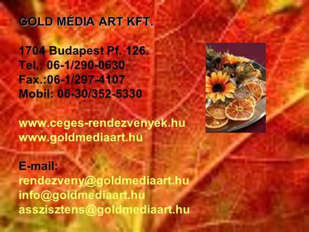 GOLD MÉDIA ART KFT Budapest Pf Tel. : 06-1/ Fax