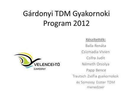 Gárdonyi TDM Gyakornoki Program 2012