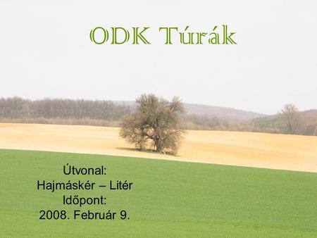 ODK Túrák Útvonal: Hajmáskér – Litér Időpont: 2008. Február 9.