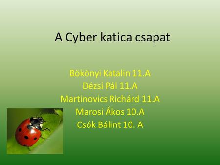 A Cyber katica csapat Bökönyi Katalin 11.A Dézsi Pál 11.A
