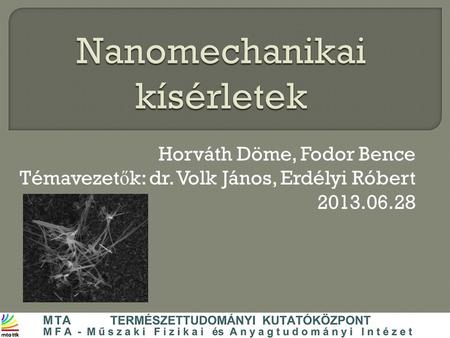 Horváth Döme, Fodor Bence Témavezet ő k: dr. Volk János, Erdélyi Róbert 2013.06.28.