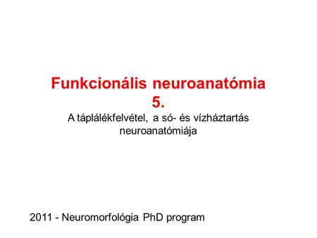Funkcionális neuroanatómia