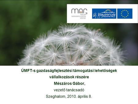 ÚMFT-s gazdaságfejlesztési támogatási lehetőségek vállalkozások részére Mészáros Gábor, vezető tanácsadó Szeghalom, 2010. április 8.
