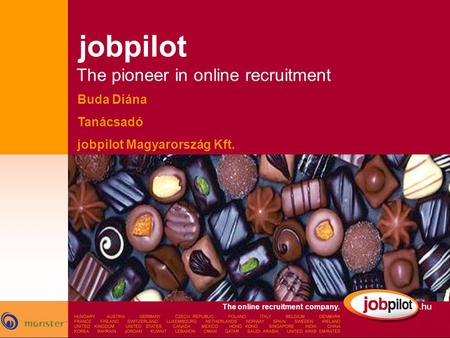 jobpilot The pioneer in online recruitment Buda Diána Tanácsadó