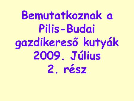 Bemutatkoznak a Pilis-Budai gazdikereső kutyák 2009. Július 2. rész.