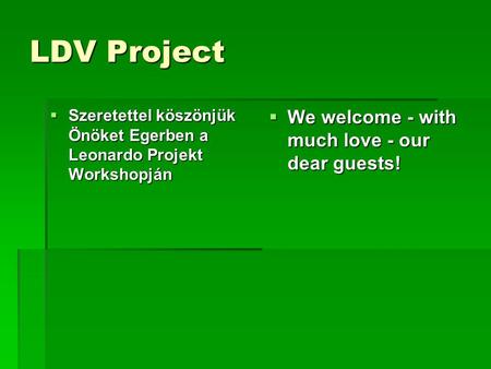 LDV Project  Szeretettel köszönjük Önöket Egerben a Leonardo Projekt Workshopján  We welcome - with much love - our dear guests!