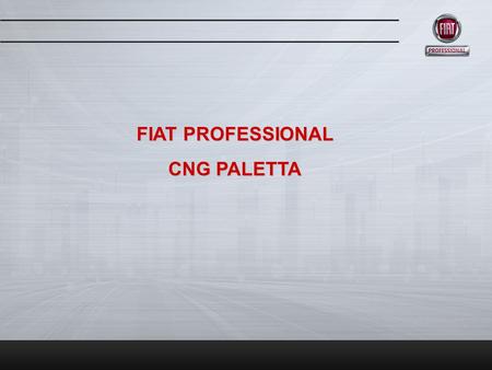 FIAT PROFESSIONAL CNG PALETTA.