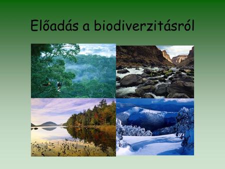Előadás a biodiverzitásról