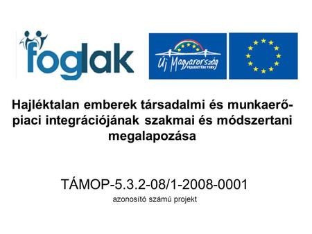 Hajléktalan emberek társadalmi és munkaerő- piaci integrációjának szakmai és módszertani megalapozása TÁMOP-5.3.2-08/1-2008-0001 azonosító számú projekt.