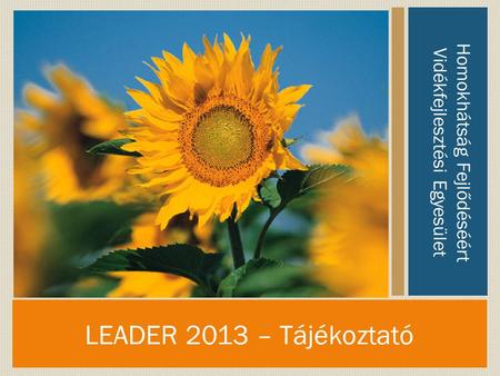 LEADER 2013 – Tájékoztató Homokhátság Fejlődéséért Vidékfejlesztési Egyesület.