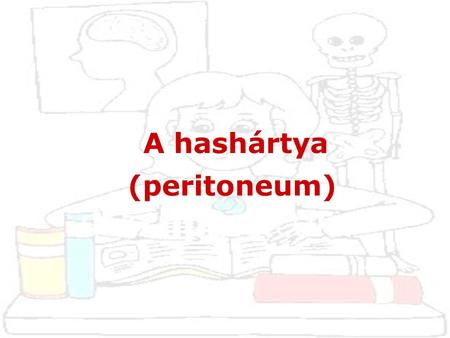 A hashártya (peritoneum).