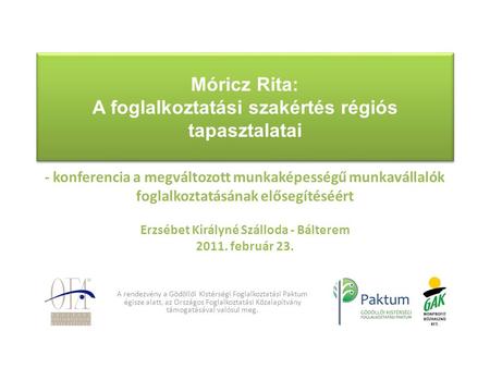 Móricz Rita: A foglalkoztatási szakértés régiós tapasztalatai