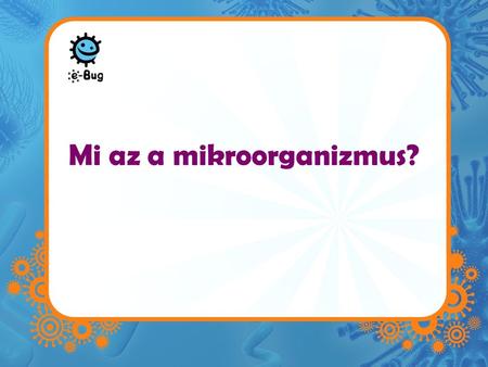 Mi az a mikroorganizmus?