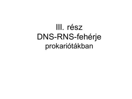 III. rész DNS-RNS-fehérje prokariótákban