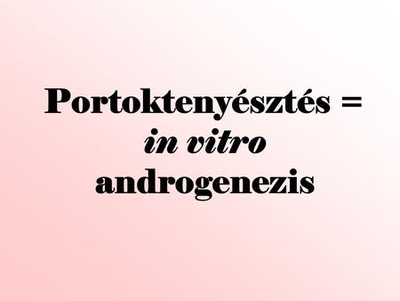 Portoktenyésztés = in vitro androgenezis