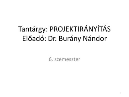Tantárgy: PROJEKTIRÁNYÍTÁS Előadó: Dr. Burány Nándor