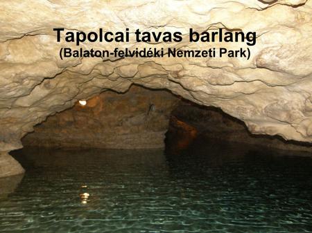 Tapolcai tavas barlang (Balaton-felvidéki Nemzeti Park)