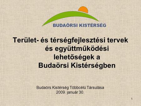 Budaörs Kistérség Többcélú Társulása január 30.