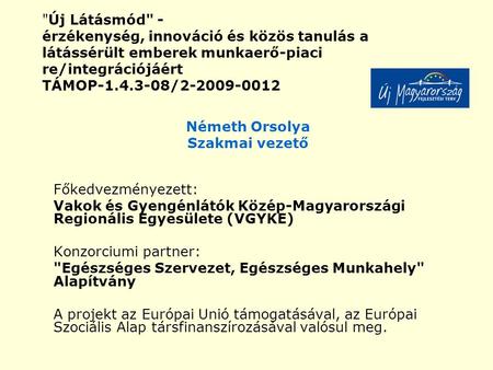 Új Látásmód - érzékenység, innováció és közös tanulás a látássérült emberek munkaerő-piaci re/integrációjáért TÁMOP-1.4.3-08/2-2009-0012 Németh Orsolya.