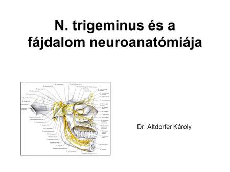 N. trigeminus és a fájdalom neuroanatómiája