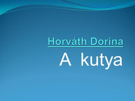 Horváth Dorina A kutya.