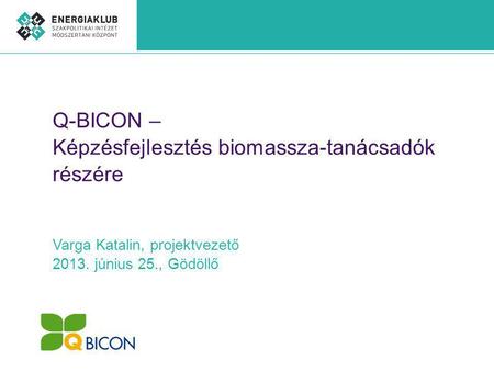 Q-BICON – Képzésfejlesztés biomassza-tanácsadók részére Varga Katalin, projektvezető 2013. június 25., Gödöllő.