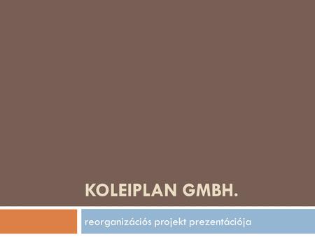KOLEIPLAN GMBH. reorganizációs projekt prezentációja.