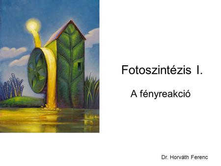 Fotoszintézis I. A fényreakció Dr. Horváth Ferenc.