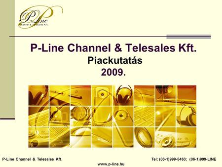 P-Line Channel & Telesales Kft. Piackutatás 2009.