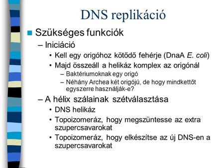 DNS replikáció Szükséges funkciók Iniciáció