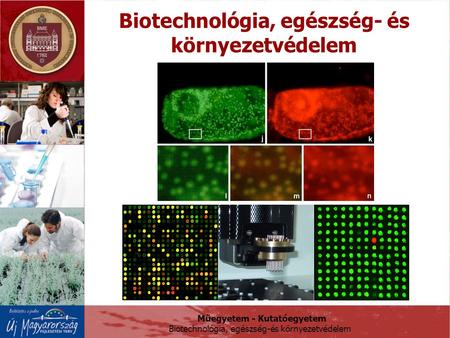 Biotechnológia, egészség- és környezetvédelem