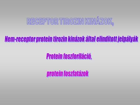 Nem-receptor protein tirozin kinázok által elindított jelpályák