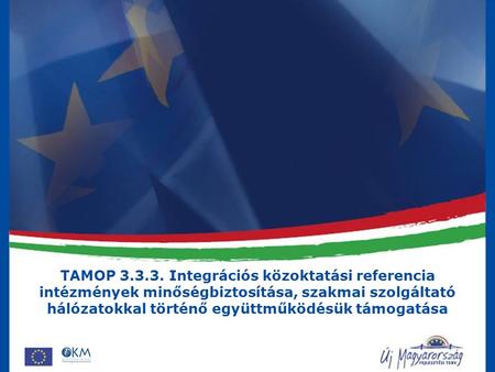 TAMOP 3.3.3. Integrációs közoktatási referencia intézmények minőségbiztosítása, szakmai szolgáltató hálózatokkal történő együttműködésük támogatása.