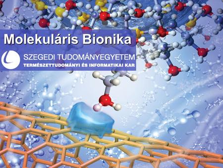 Molekuláris Bionika.