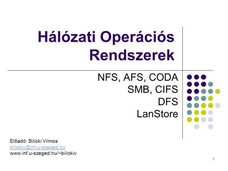 1 Hálózati Operációs Rendszerek NFS, AFS, CODA SMB, CIFS DFS LanStore Előadó: Bilicki Vilmos