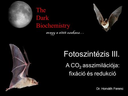 Fotoszintézis III. The Dark Biochemistry A CO2 asszimilációja:
