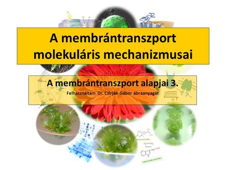 A membrántranszport molekuláris mechanizmusai